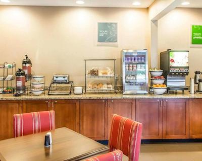 کمفرت این نرد/پلاریز