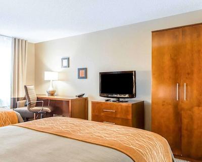 کمفرت این نرد/پلاریز