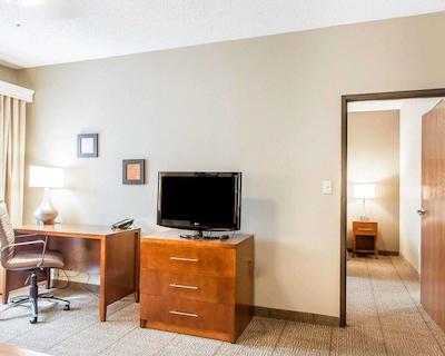 کمفرت این نرد/پلاریز