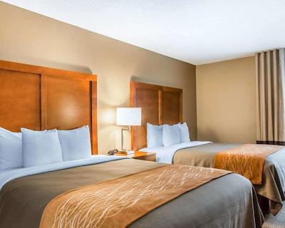 کمفرت این نرد/پلاریز