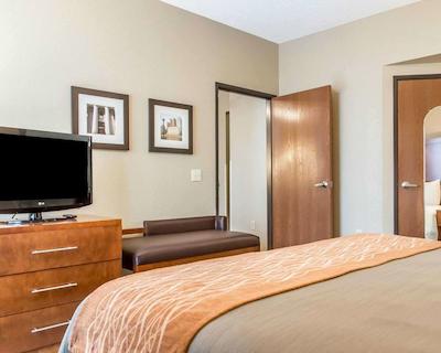 کمفرت این نرد/پلاریز