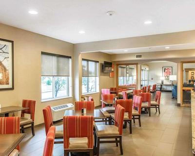 کمفرت این نرد/پلاریز