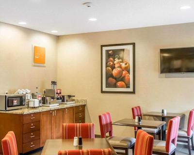 کمفرت این نرد/پلاریز