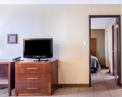 کمفرت این نرد/پلاریز