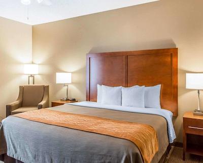 کمفرت این نرد/پلاریز