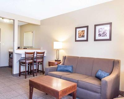 کمفرت این نرد/پلاریز