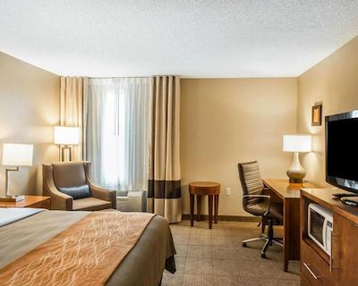 کمفرت این نرد/پلاریز