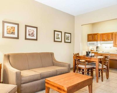 کمفرت این نرد/پلاریز