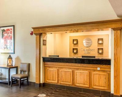 کمفرت این نرد/پلاریز