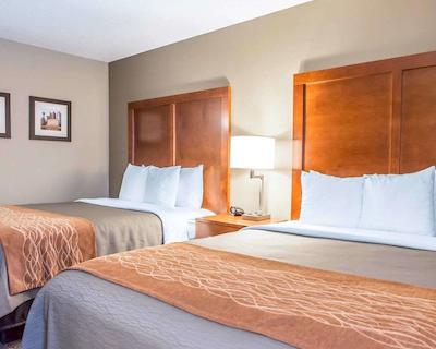 کمفرت این نرد/پلاریز