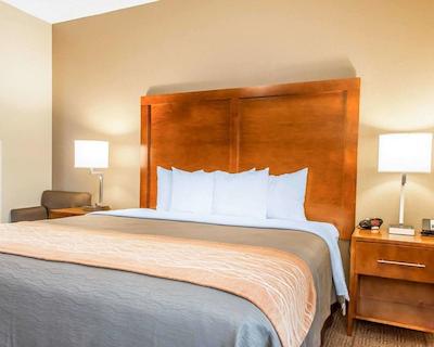 کمفرت این نرد/پلاریز