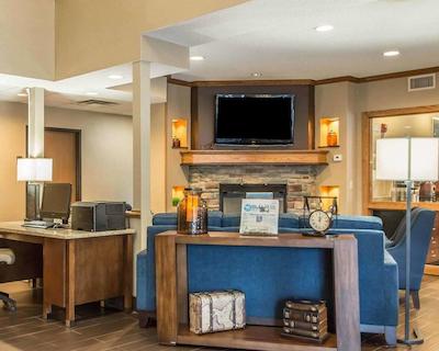 کمفرت این نرد/پلاریز