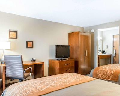 کمفرت این نرد/پلاریز