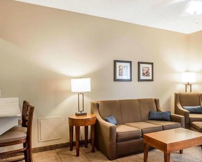 کمفرت این نرد/پلاریز