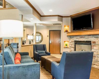 کمفرت این نرد/پلاریز