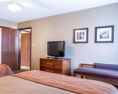 کمفرت این نرد/پلاریز