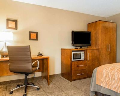 کمفرت این نرد/پلاریز