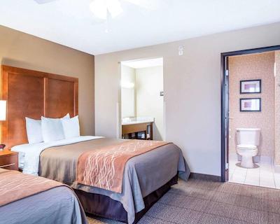 کمفرت این نرد/پلاریز