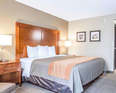 کمفرت این نرد/پلاریز