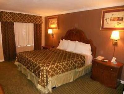 دز این استکتون