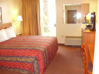 واکیشن این فنیکس