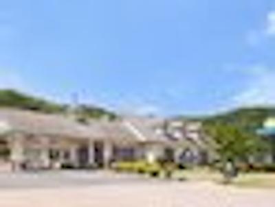 دز این رد وینگ