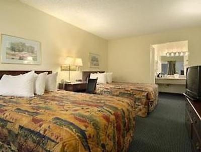 نایتز این شروپرت