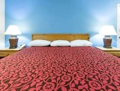 نایتز این شروپرت