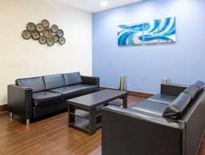 نایتز این شروپرت