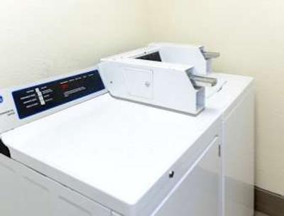 نایتز این شروپرت