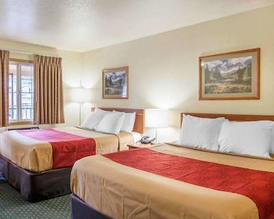 اکنو لج سیتی سنتر