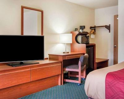 اکنو لج سیتی سنتر