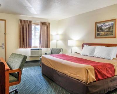 اکنو لج سیتی سنتر