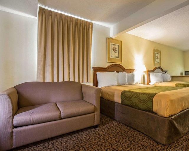 اکنو لج این اند سویتز