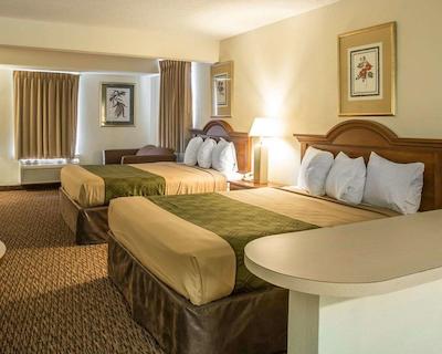 اکنو لج این اند سویتز