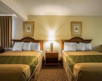 اکنو لج این اند سویتز