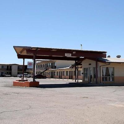 اکنمی این گالوپ