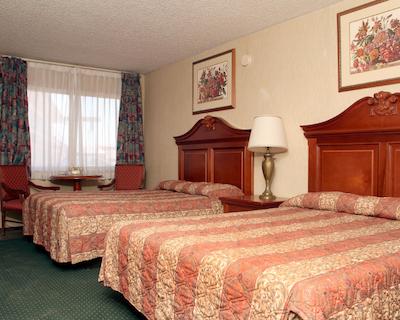 اکنمی این گالوپ