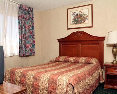 اکنمی این گالوپ