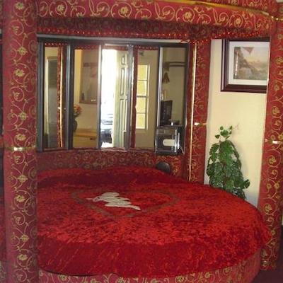 اکنمی این اکسپرز وارن