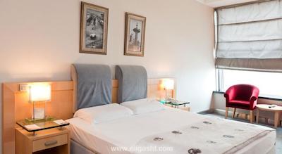 سافرن هتل آنکارا