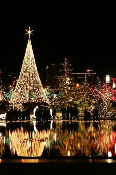 هامپتون این اند سویتز اسالت لاک سیتی آیرپرت