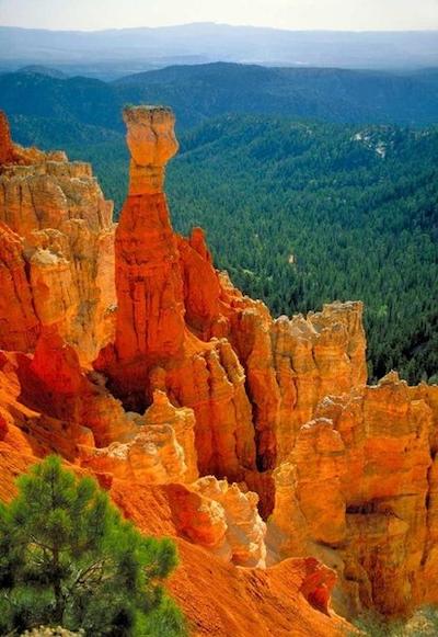 هامپتون این اند سویتز اسالت لاک سیتی آیرپرت