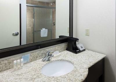 هامپتون این اند سویتز اُماها-دونتون