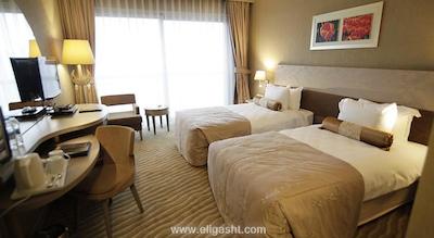 سایلنس استانبول سیلور