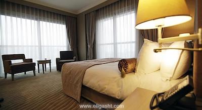 سایلنس استانبول سیلور