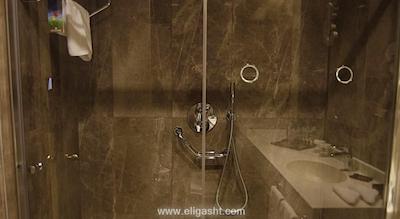 سایلنس استانبول سیلور