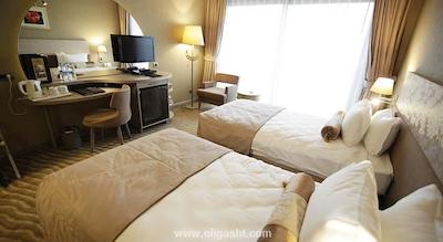 سایلنس استانبول سیلور