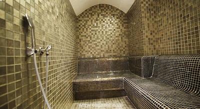 سایلنس استانبول سیلور