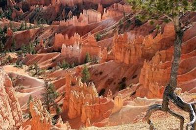 هامپتون این اند سویتز لاز وگاز اسود